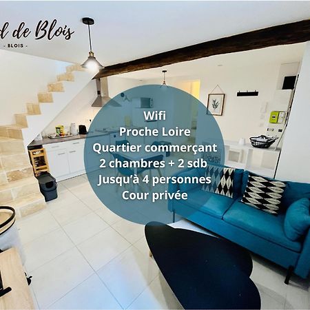 2 Suites, Cour Privee, Climatisation, Le Nid De Blois Vienne Buitenkant foto