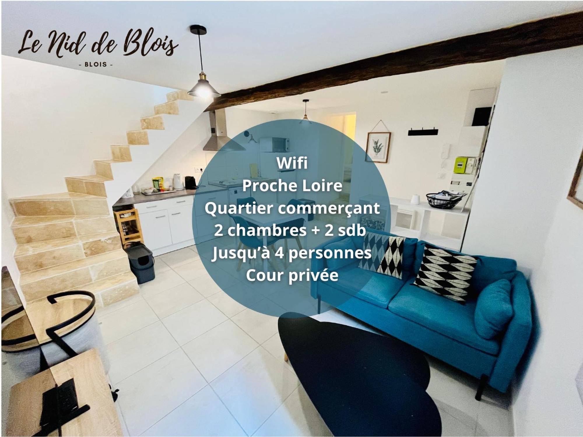2 Suites, Cour Privee, Climatisation, Le Nid De Blois Vienne Buitenkant foto